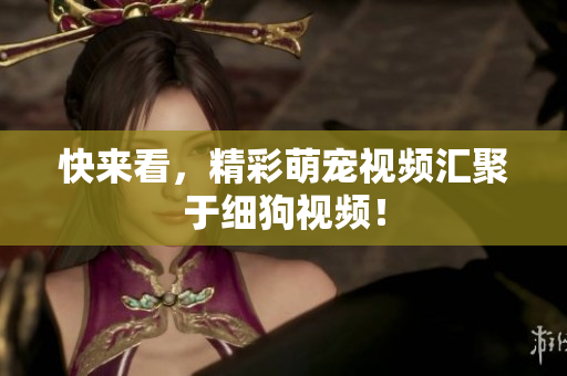 快来看，精彩萌宠视频汇聚于细狗视频！