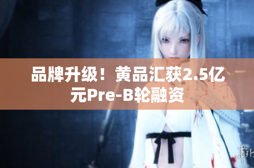 品牌升级！黄品汇获2.5亿元Pre-B轮融资