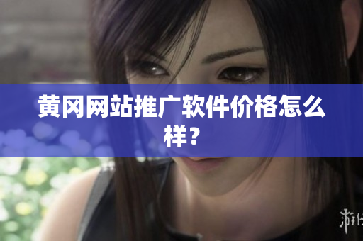 黄冈网站推广软件价格怎么样？