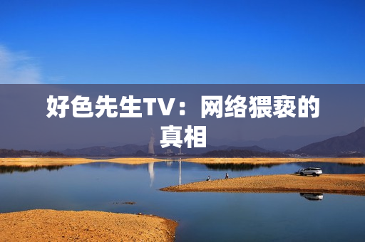 好色先生TV：网络猥亵的真相