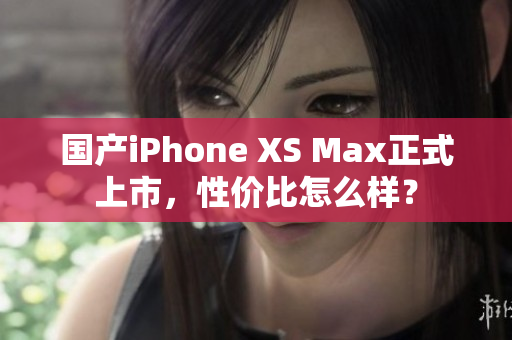 国产iPhone XS Max正式上市，性价比怎么样？
