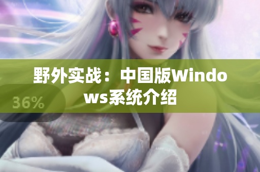 野外实战：中国版Windows系统介绍