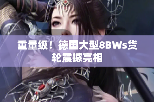 重量级！德国大型8BWs货轮震撼亮相