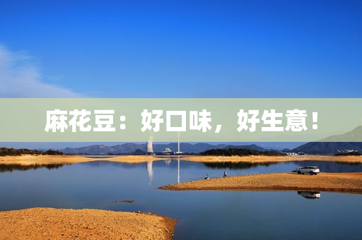麻花豆：好口味，好生意！