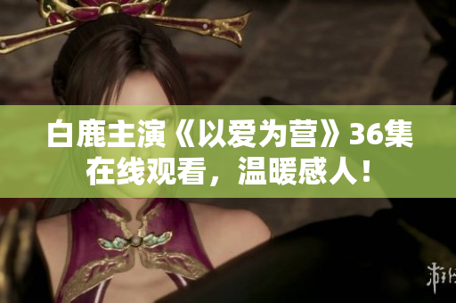 白鹿主演《以爱为营》36集在线观看，温暖感人！