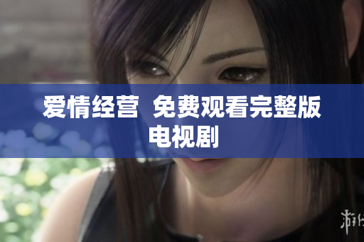 爱情经营  免费观看完整版电视剧