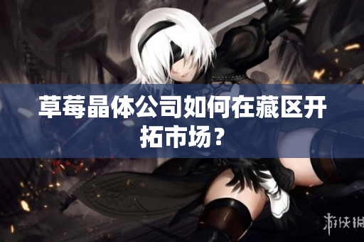 草莓晶体公司如何在藏区开拓市场？