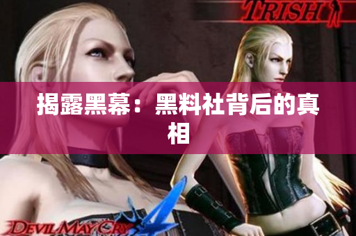 揭露黑幕：黑料社背后的真相