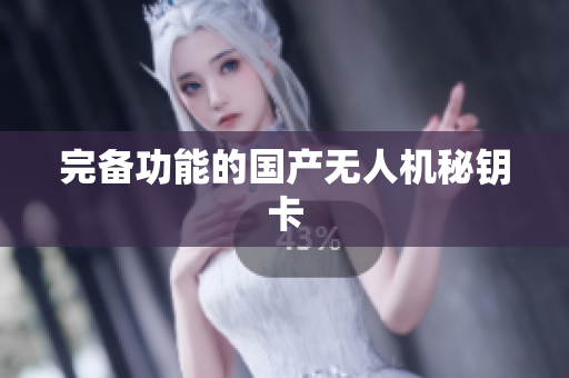完备功能的国产无人机秘钥卡