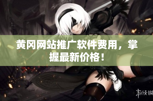 黄冈网站推广软件费用，掌握最新价格！