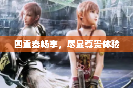 四重奏畅享，尽显尊贵体验