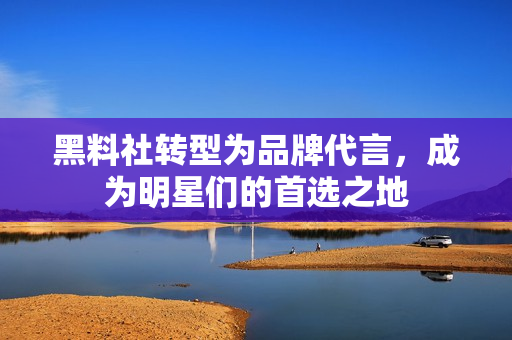 黑料社转型为品牌代言，成为明星们的首选之地