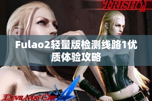 Fulao2轻量版检测线路1优质体验攻略