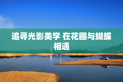 追寻光影美学 在花圃与蝴蝶相遇