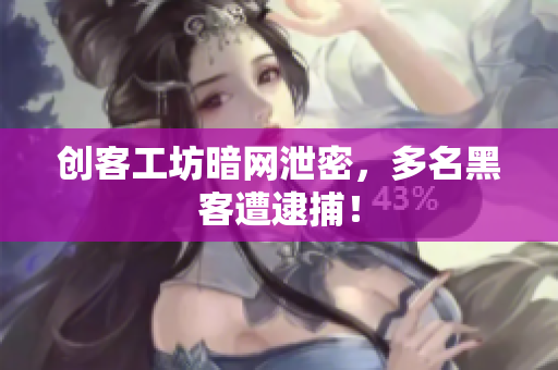 创客工坊暗网泄密，多名黑客遭逮捕！