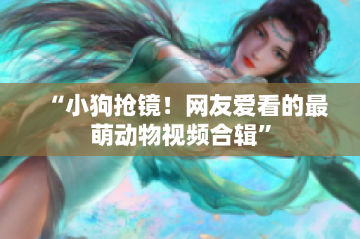 “小狗抢镜！网友爱看的最萌动物视频合辑”