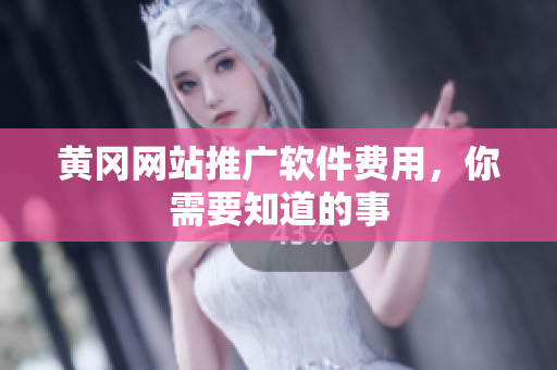 黄冈网站推广软件费用，你需要知道的事