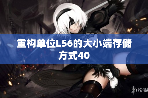重构单位L56的大小端存储方式40