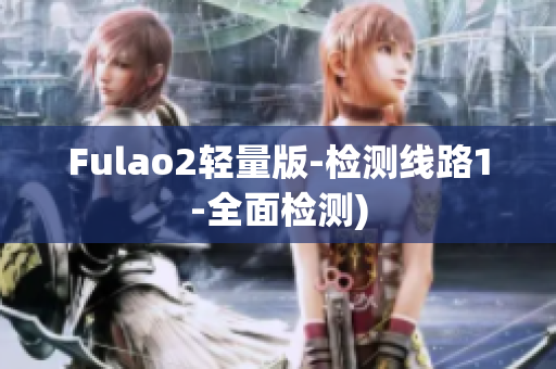 Fulao2轻量版-检测线路1-全面检测)