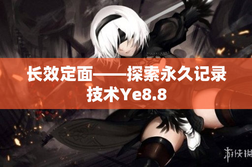 长效定面——探索永久记录技术Ye8.8