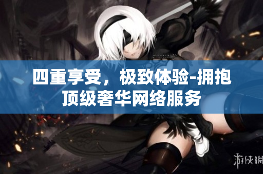 四重享受，极致体验-拥抱顶级奢华网络服务
