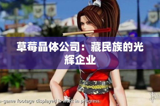 草莓晶体公司：藏民族的光辉企业
