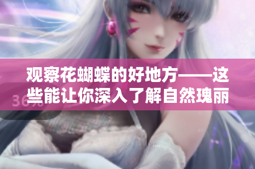 观察花蝴蝶的好地方——这些能让你深入了解自然瑰丽的地方