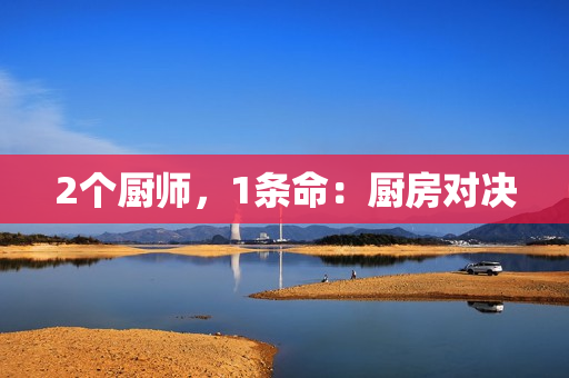 2个厨师，1条命：厨房对决