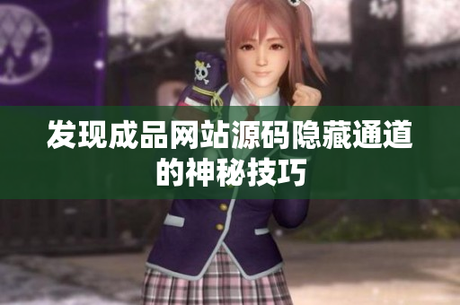 发现成品网站源码隐藏通道的神秘技巧