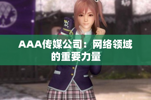 AAA传媒公司：网络领域的重要力量