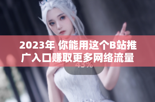 2023年 你能用这个B站推广入口赚取更多网络流量