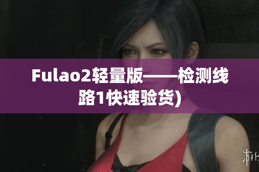 Fulao2轻量版——检测线路1快速验货)