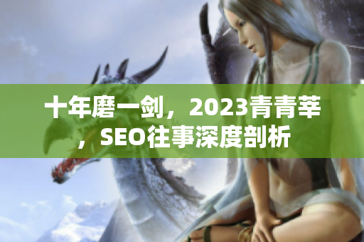 十年磨一剑，2023青青莘，SEO往事深度剖析