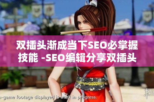 双插头渐成当下SEO必掌握技能 -SEO编辑分享双插头应用技巧