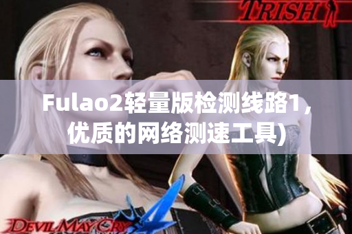 Fulao2轻量版检测线路1，优质的网络测速工具)