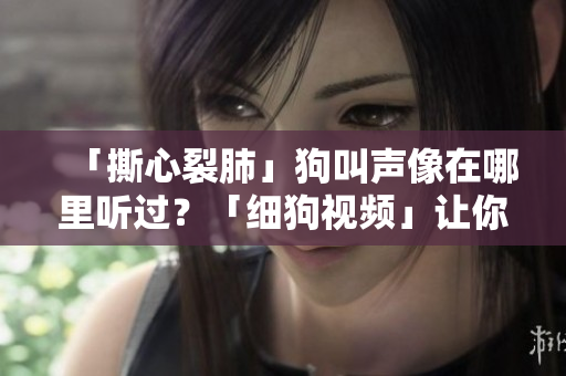 「撕心裂肺」狗叫声像在哪里听过？「细狗视频」让你一秒找到！