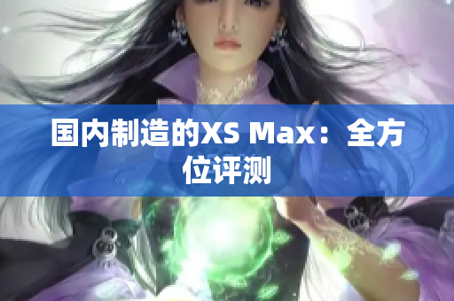 国内制造的XS Max：全方位评测