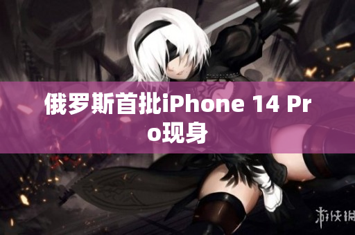 俄罗斯首批iPhone 14 Pro现身