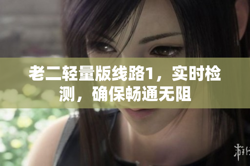 老二轻量版线路1，实时检测，确保畅通无阻