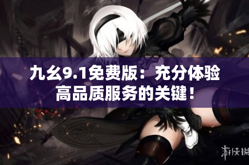 九幺9.1免费版：充分体验高品质服务的关键！