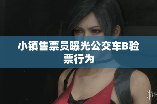 小镇售票员曝光公交车B验票行为