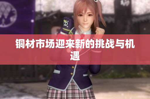 铜材市场迎来新的挑战与机遇