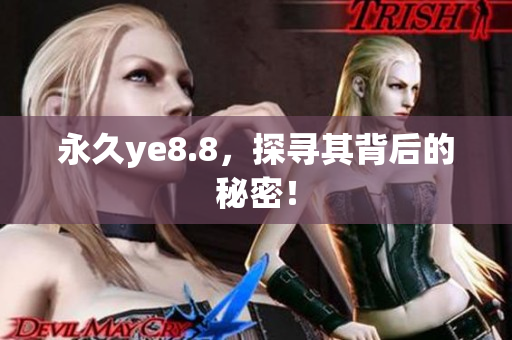 永久ye8.8，探寻其背后的秘密！