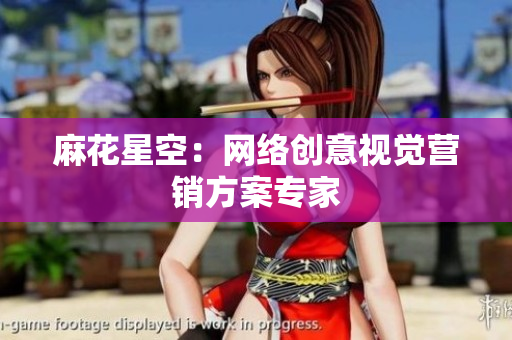 麻花星空：网络创意视觉营销方案专家