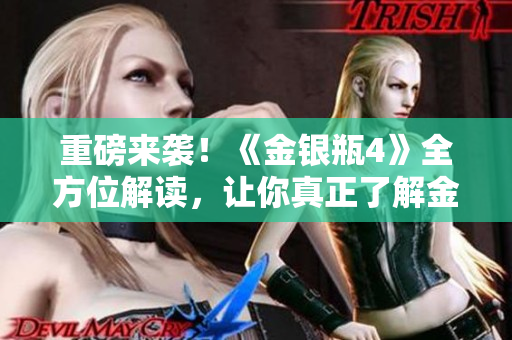 重磅来袭！《金银瓶4》全方位解读，让你真正了解金陵十二钗