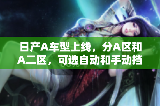 日产A车型上线，分A区和A二区，可选自动和手动挡