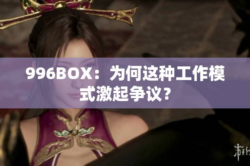 996BOX：为何这种工作模式激起争议？