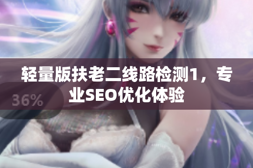 轻量版扶老二线路检测1，专业SEO优化体验