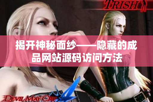 揭开神秘面纱——隐藏的成品网站源码访问方法