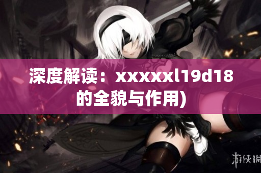 深度解读：xxxxxl19d18的全貌与作用)